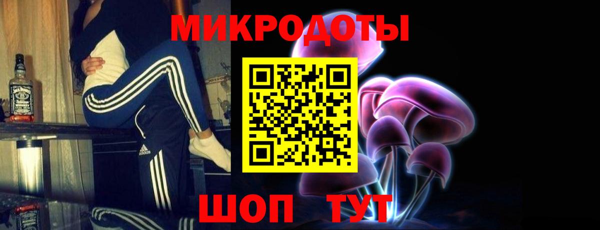 Псилоцибиновые грибы Psilocybe  Вход с VPN  Томск  Псилоцибиновые грибы MAGIC MUSHROOMS 